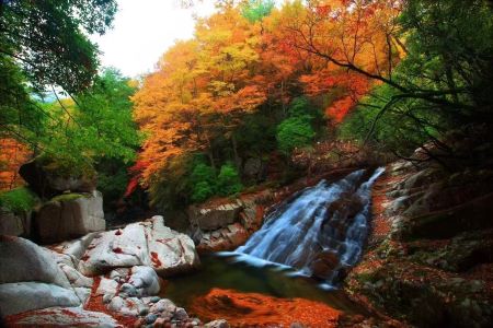 綿陽/光霧山/劍門關/閬中古城/翠云廊/七曲山大廟 純玩雙飛六日游