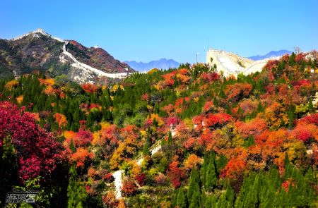 超值體驗?惠選北京 5 天雙飛全景團